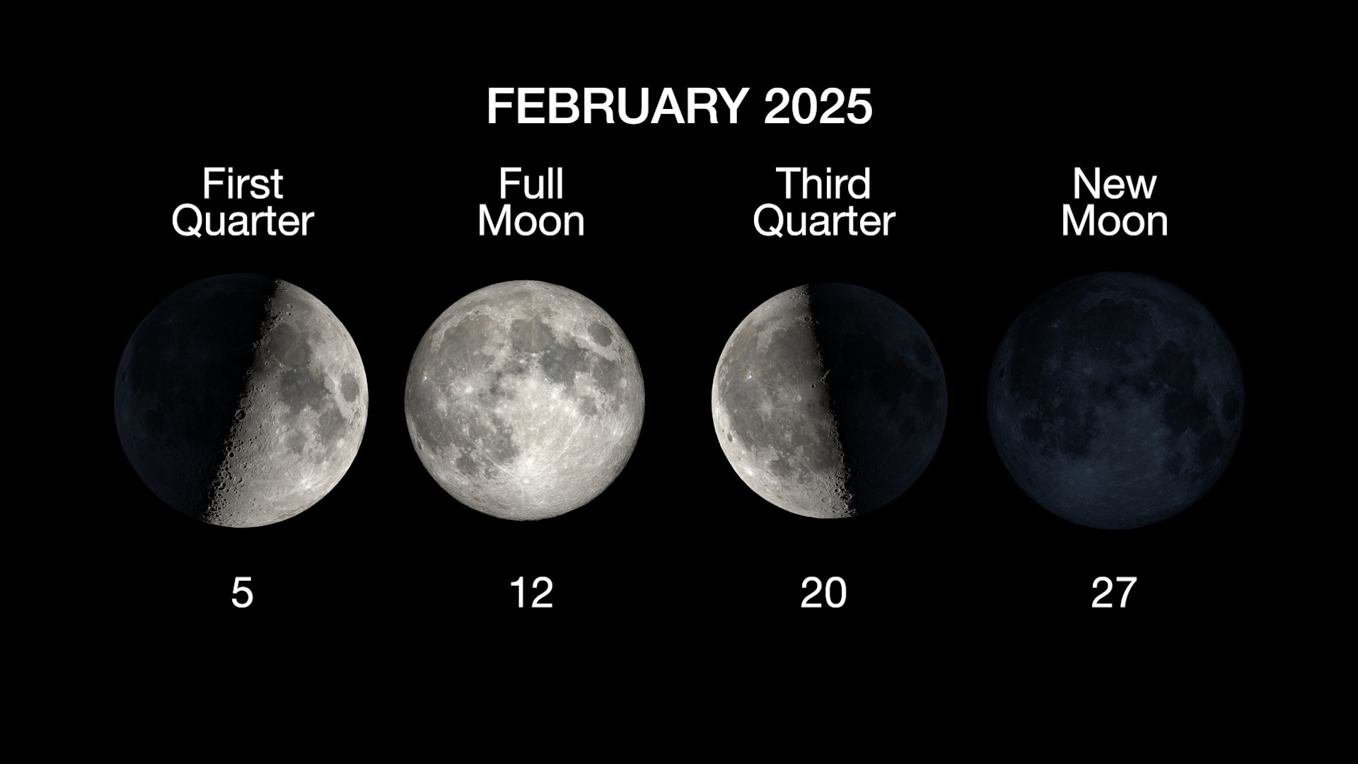 Lunar phases for February 2025, showing New Moon on Feb 27th, Full Moon on Feb 12th, First Quarter on Feb 5th and Last Quarter on Feb 20th.