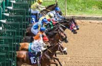 NYRA Stakes Schedule